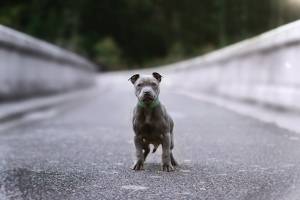 Jessica TOUCHARD - SILA STUDIO