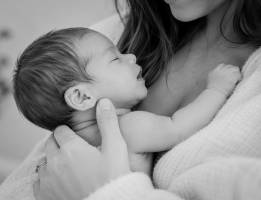 Manon HOGUET - Le citron